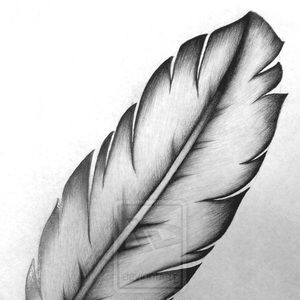 Meet your Posher, Sasha